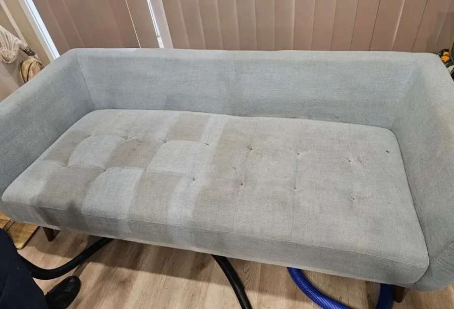 Carpet cleaning in a Sydney living room