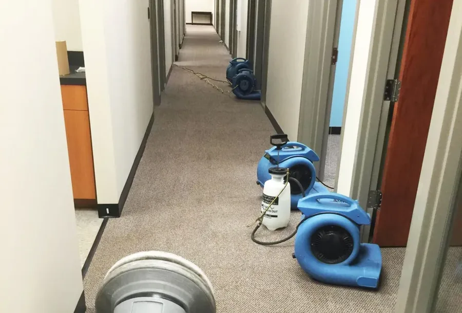 Commercial carpet cleaning in an office